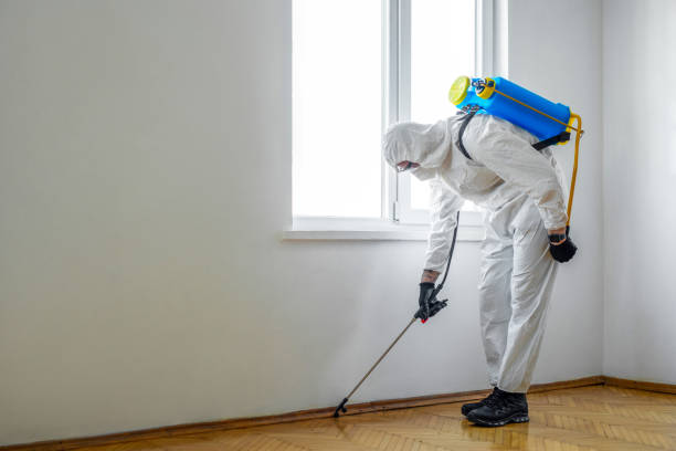 Best Rat Extermination Near Me  in West Sacramento, CA
