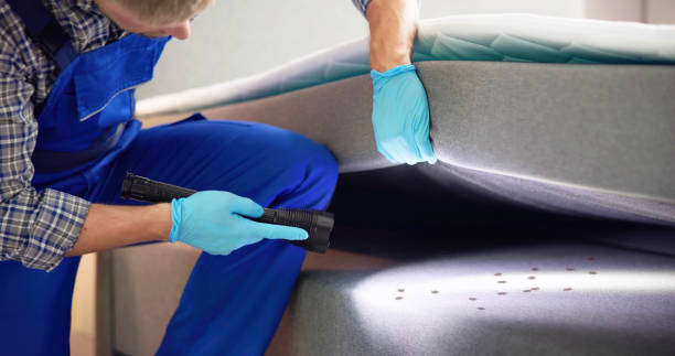  West Sacramento, CA Pest Control Pros