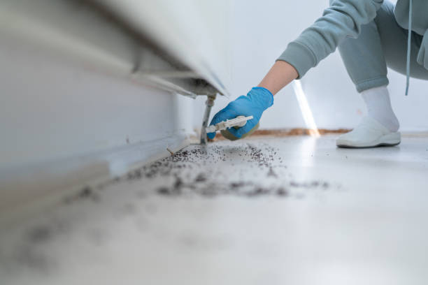 Best Bed Bug Extermination  in West Sacramento, CA